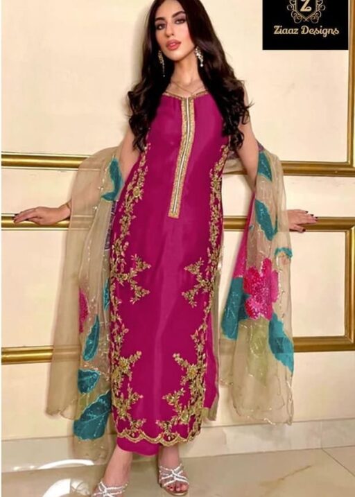 Embroidery Pakistani Dress