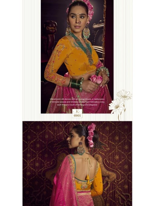 Exclusive Wedding Dola Silk Saree for Women