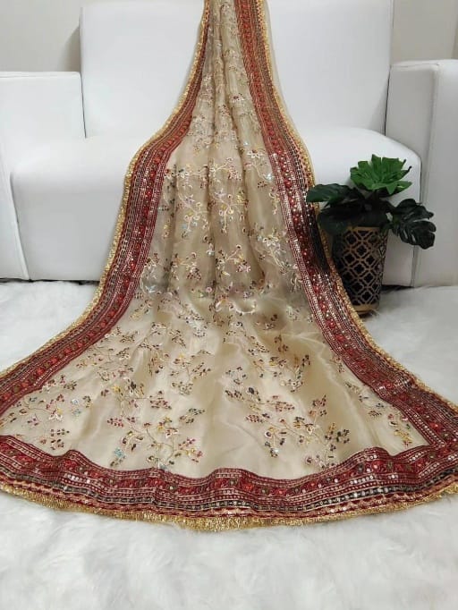 Bollywood Inspired Wedding Wear Border Saree