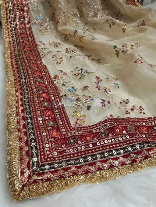 Bollywood Inspired Wedding Wear Border Saree