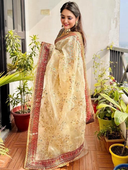 Bollywood Inspired Wedding Wear Border Saree - Image 2