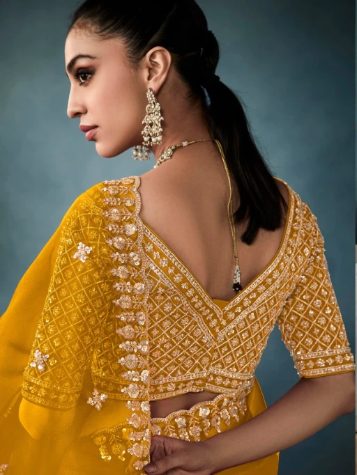 New Handwork with Cut Dana Wedding Saree