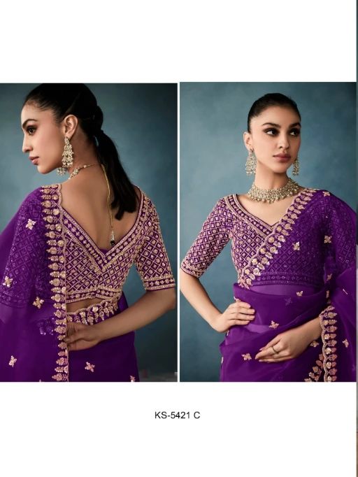 New Handwork with Cut Dana Wedding Saree