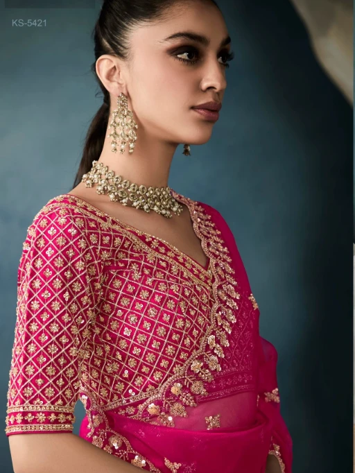 New Handwork with Cut Dana Wedding Saree