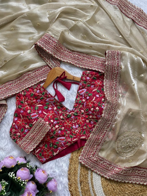 Bollywood Inspired Jimmy Chu Trending Saree