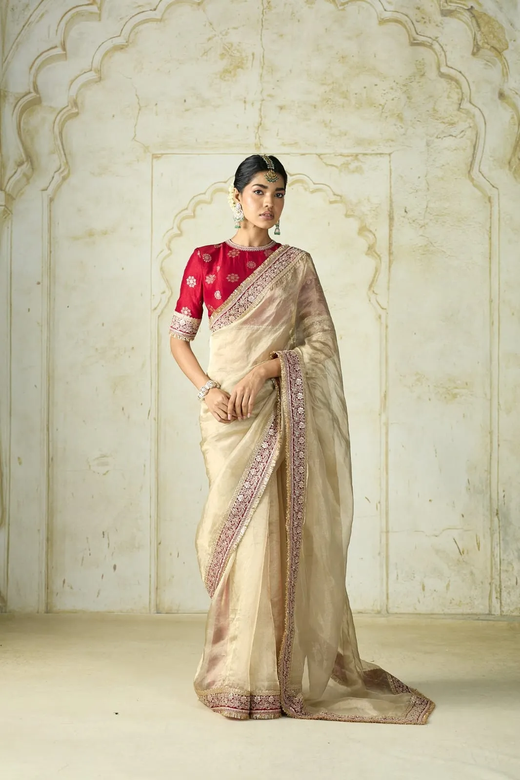 Durga Pooja Madhuri Inspired Saree - Image 6