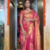 New Fancy Zip and Go Saree