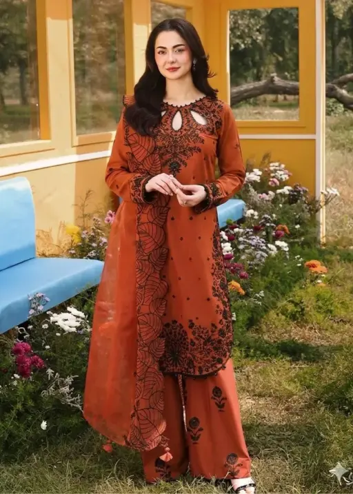 Brown Pakistani salwar suit with embroidery and organza dupatta.