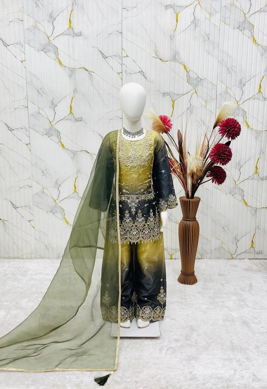 Small Girls Kids Plazzo Salwar Suit - Image 3