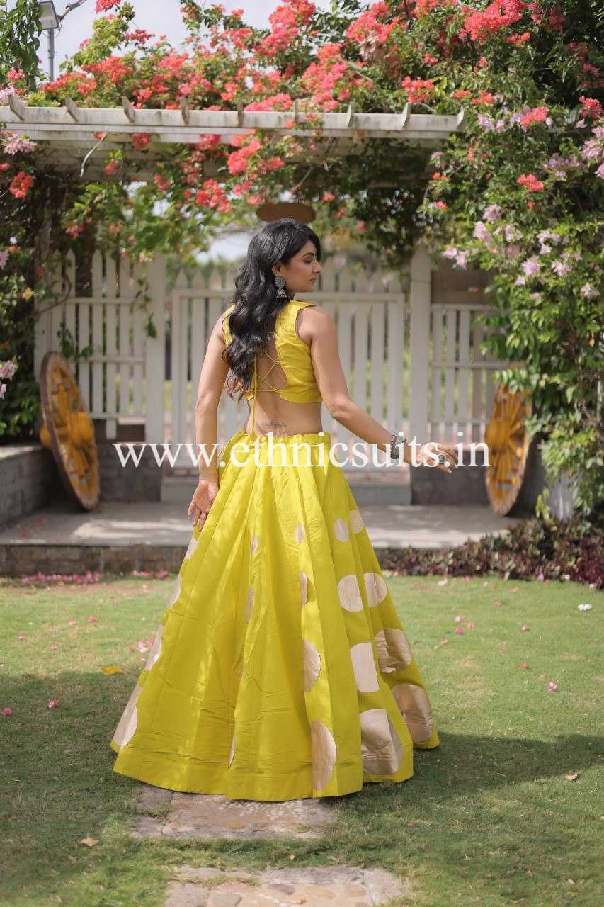 Designer Mint Green Chaniya with Fancy Mirror work Choli for Navratri - Image 3