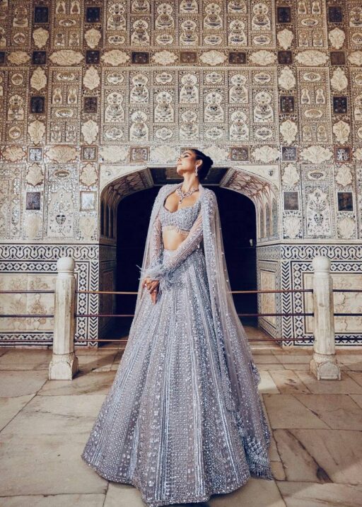 Gray Color Glittery Party Lehenga Blouse